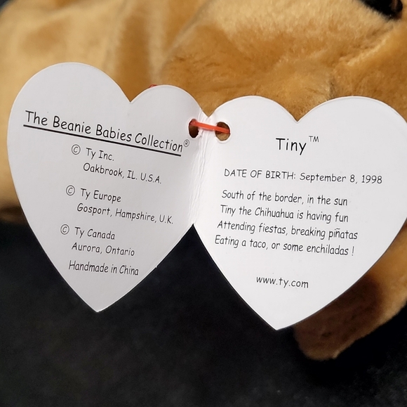 TY Beanie Babies Tiny The Chihuahua - Picture 11 of 11